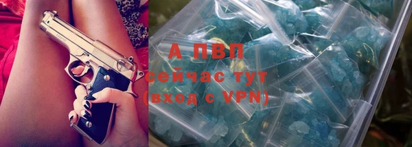 эйфоретик Кукмор