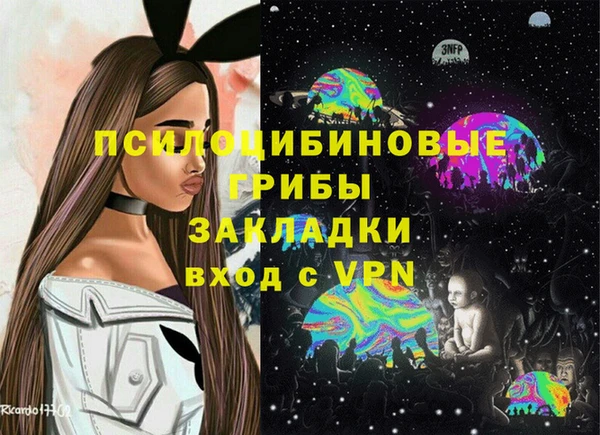 эйфоретик Кукмор