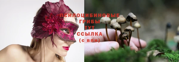 бошки Куйбышев