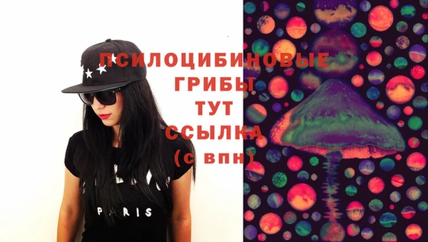 стафф Кулебаки