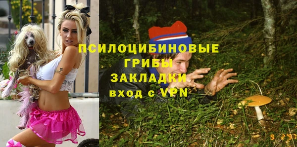 эйфоретик Кукмор