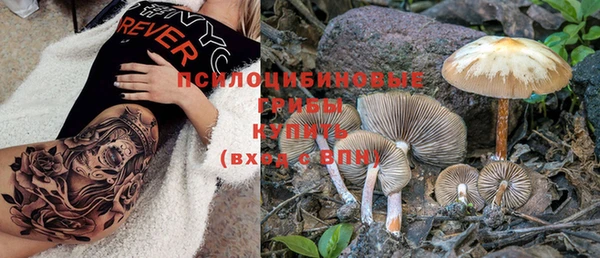 стафф Кулебаки