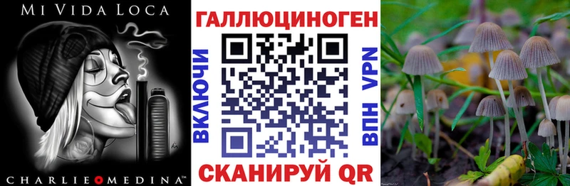 Галлюциногенные грибы Psilocybe  купить наркоту  Иваново 